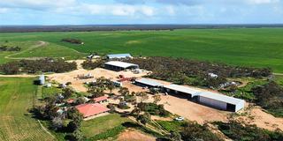 Benchmark Broadacre Farm For Sale South Australia