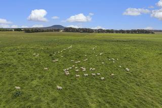 Historic Grazing Property For Sale South West VIC