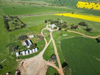 Blue Ribbon Cropping, Grazing Property For Sale NSW