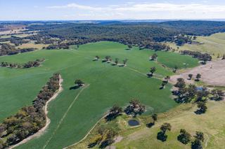 Premium Mixed Farm For Sale NSW Hilltops Region
