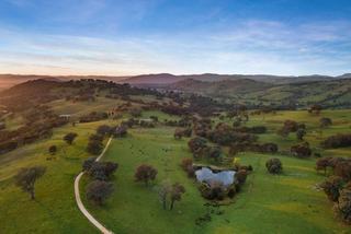 Rustic Country House For Sale Wodonga On 100+ Hectares