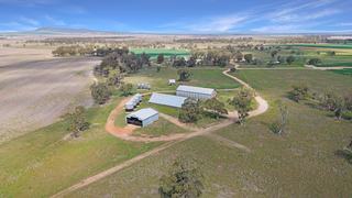 Liverpool Plains Farm For Sale Offers Scale, Versatility + Productivity