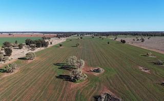 Versatile Mixed Farming And Grazing Property For Sale NSW
