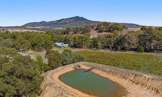 Established VIC Vineyard For Sale With Tourism Potential