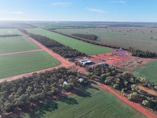 Highly Efficient Grain Growing Property For Sale NSW