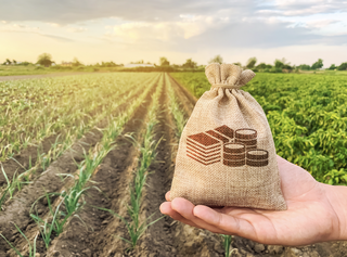 What the 2021 Budget Means for Farmers and Rural Areas