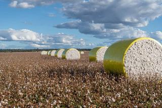 Rare Opportunity To Buy Irrigated Farm On The Darling Downs With Scale