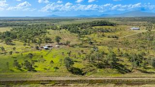 Established Cattle Property For Sale In QLD’s Whitsundays Region
