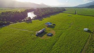 Large Hobby Farm For Sale 30 Minutes From Cairns
