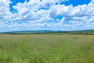 Large Scale Cattle Property For Sale Central QLD