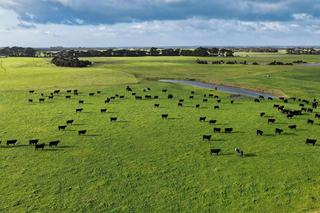 King Island’s ‘Ultimate Beef Machine’ Offered For Sale