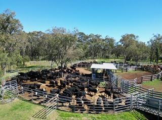Beef Production Powerhouse For Sale QLD