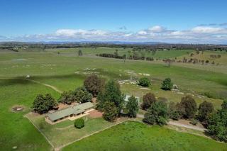 Renowned Australian Stock Horse Stud Offered For Sale