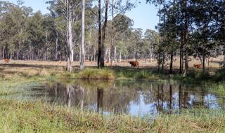 Rare Livestock Breeding Property For Sale QLD