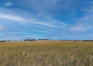 Unique Rural Property For Sale For First Time In 100 Years