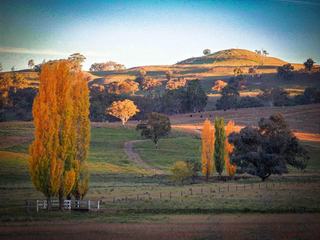 Highly Productive Cattle Property For Sale Northern NSW 