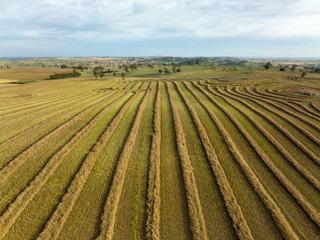 Landmark farms for sale NSW tightly-held southern region