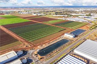 Outstanding Farm For Sale South Australia