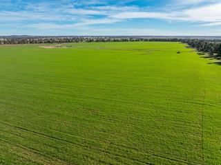 Historic Farming Property For Sale Central West NSW