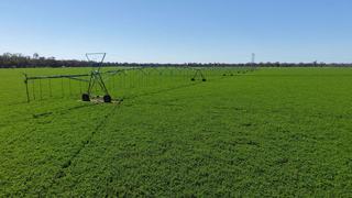 First-Class Irrigated Farm For Sale Offers Production Certainty