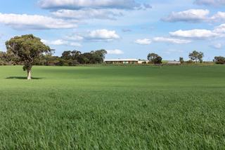 Unique Rural Property For Sale SA Has It All!