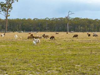 Exceptional Mixed Farm For Sale With Water Security, Infrastructure + Potential