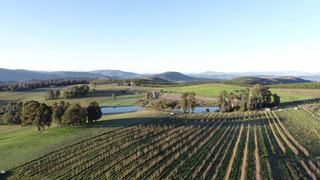 Highly Regarded, Vertically Integrated Apple Growing Orchard For Sale NSW
