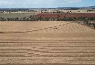 Efficient Farm For Sale NSW With Potential For Growth
