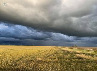 Magnificent Organic Cropping And Grazing Property For Sale In WA Wheatbelt