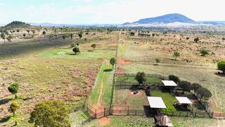 Highly Productive Cattle Property For Sale QLD With Carbon Project
