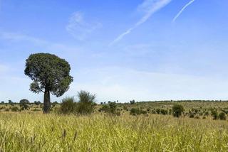 Versatile Grazing Property For Sale With River Frontage
