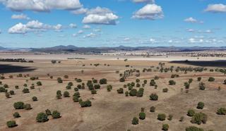 Versatile Mixed Farm For Sale On NSW’s Liverpool Plains