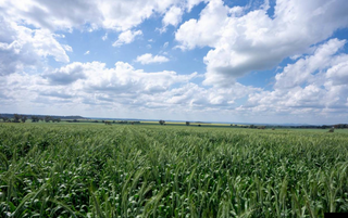 Rural Powerhouse For Sale On Renowned Liverpool Plains