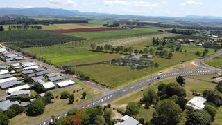 Avocado Farm For Sale QLD With Development Approval