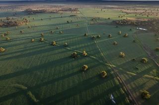 First-Class Sheep + Cropping Property For Sale NSW