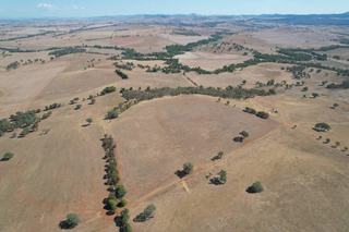 Large Mixed Farming + Grazing Property For Sale NSW
