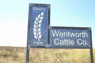 Fertile Farm For Sale QLD Offers Expansion Opportunity