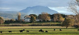 Uncovering The Best Farm Land For Sale Tasmania