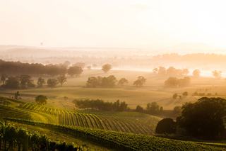 The Ultimate Guide To Rural Properties For Sale In NSW