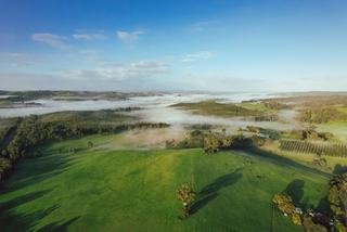 Best Rural Properties For Sale In WA: The Ultimate Guide