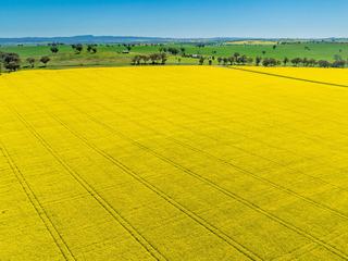 NSW Farm For Sale Offers Quality Country, Outstanding Opportunity