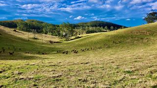 Unique Rural Property For Sale Sunshine Coast Hinterland
