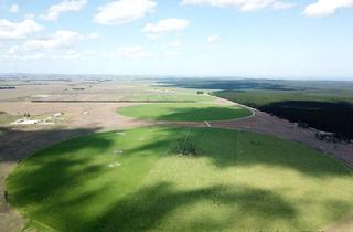 Large-Scale Dairy Farm For Sale South Australia
