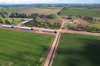 Livestock + Fodder Powerhouse For Sale NSW Central West