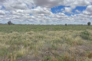 Well Set-Up Grazing, Cropping Property For Sale Narromine 