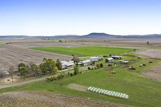 Productive Farm For Sale Boasts Reliable Water + Quality Infrastructure
