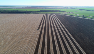 Large Irrigated And Dryland Cropping Farm For Sale NSW