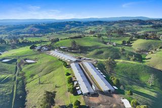 For Sale: High Yielding Poultry Investment Opportunity