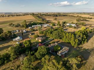 Large Scale Farm For Sale NSW In Premier District