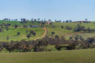 Large Scale Mixed Farm For Sale NSW Riverina
